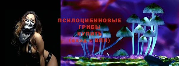 марки lsd Абаза