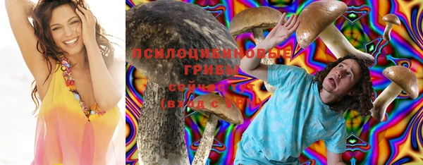 героин Алексин