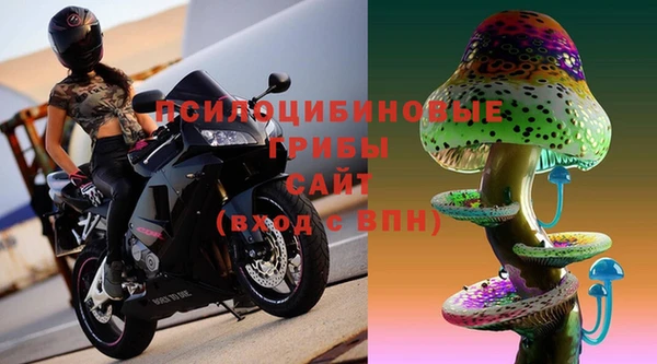 героин Алексин