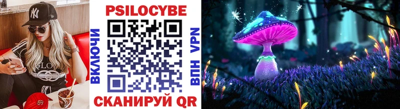 Псилоцибиновые грибы Psilocybine cubensis  хочу   это Telegram  Райчихинск 